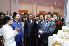 Le vice-Premier ministre Tran Hong Ha (2e à partir de la gauche) visite un stand vietnamien. Photo: VNA