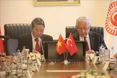 Le vice-président de l’AN Nguyên Duc Hai et le vice-président de la Grande Assemblée nationale de Turquie, Celal Adan. Photo: VNA