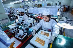 Le passage d’un modèle de croissance fondé sur la main-d’œuvre bon marché et l’exploitation des ressources naturelles vers un développement reposant sur les sciences, les technologies et l’innovation constitue aujourd’hui un nouvel élan pour la croissance économique de Dông Nai comme pour l’ensemble du pays. Photo: VNA