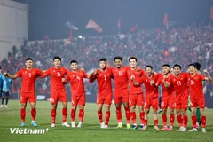 L’équipe nationale masculine de football du Vietnam. Photo: VietnamPlus