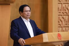 Le Premier ministre Pham Minh Chinh s'exprime lors de la réunion. Photo: VNA