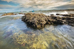 Le magnifique écosystème corallien naturel de Hon Yên, province de Phu Yên. Photo : VNA