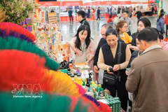 L’excellence de l’artisanat vietnamien à l'honneur à la Foire du Printemps 2026