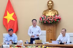 Le ministre de l’Industrie et du Commerce, Nguyên Hông Diên, s'exprime lors de la conférence. Photo: VietnamPlus