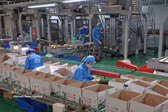 Production dans une usine privée. Photo: VNA