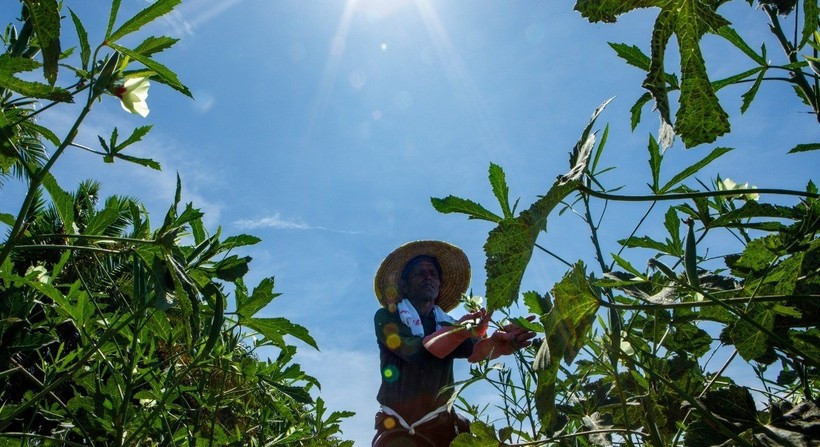 Photo: The Edge Singapore