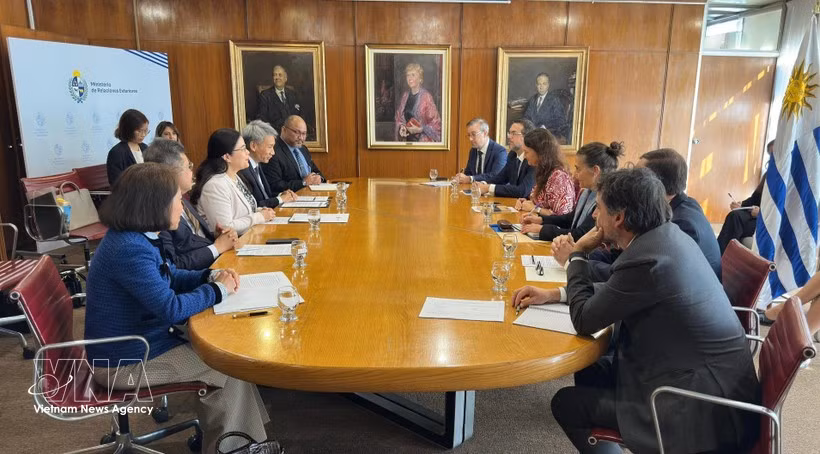 La sous-secrétaire d'État uruguayenne aux Affaires étrangères, Valeria Csukasi reçoit es ambassadeurs du Vietnam, de Thaïlande, des Philippines et d'Indonésie, ainsi que le chargé d'affaires de Malaisie en Argentine et en Uruguay. Photo : VNA