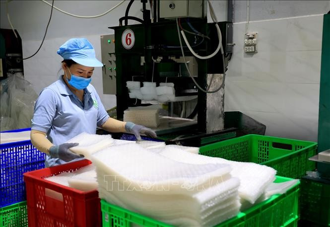 Production de galettes de riz, spécialité de Tây Ninh, à la société à responsabilité limitée Tân Nhiên (hameau de Truong Phu, commune de Truong Dông, ancien chef-lieu de la ville de Hoa Thành). Photo d’illustration : VNA