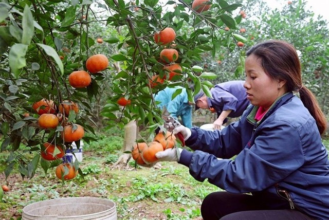 L’escalade des tensions au Moyen-Orient a des répercussions négatives sur l’économie mondiale, y compris sur le Vietnam. (Photo : thuonghieusanpham.vn)