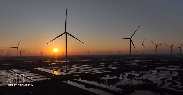 Un parc éolien dans la province de Cà Mau. Photo : VNA
