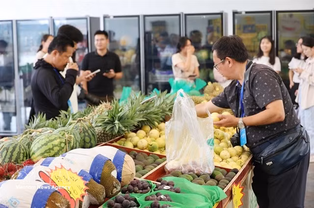 Les exportations vietnamiennes de fruits et légumes ont connu un excellent début d'année. Photo ; VNA