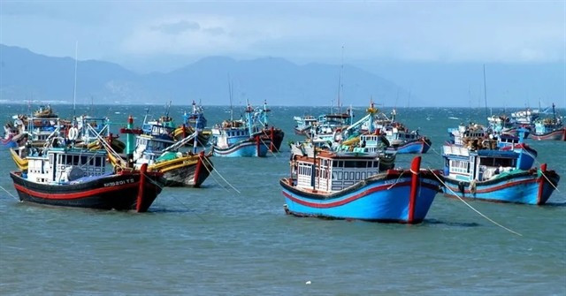 Des bateaux de pêche opèrent au large des côtes d'Hô Chi Minh-Ville. — Photo www.sggp.org.vn