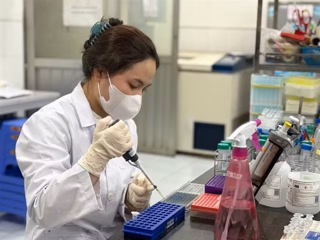 Nguyễn Nhật Ly, étudiant en master de biotechnologie à l'Université nationale du Viêt Nam (VNU) de Hanoï, mène une expérience dans le laboratoire de l'école. Photo : VNA/VNS