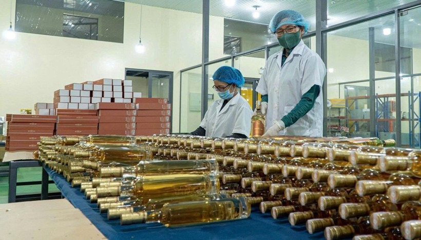 La société à responsabilité limitée Triêt Minh investit dans la modernisation de ses chaînes de production et l’application de technologies modernes. Photo : VNA