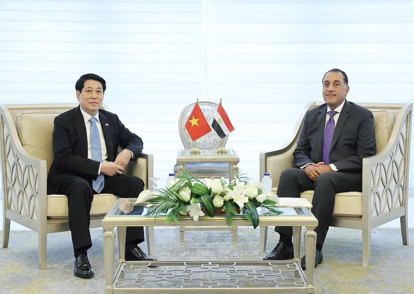 Le président Luong Cuong et le Premier ministre égyptien, Mostafa Madbouly. Photo: VNA
