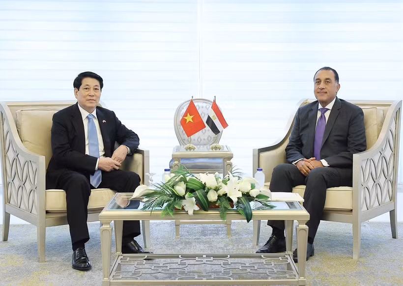 Le président Luong Cuong et le Premier ministre égyptien, Mostafa Madbouly. Photo: VNA