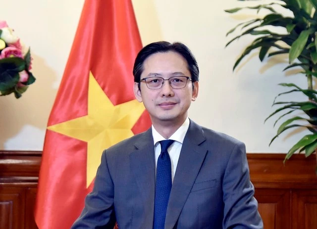 Le vice-ministre des Affaires étrangères, Do Hung Viet. Photo: VNA
