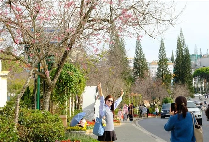 Visiteurs à Da Lat. Photo: VNA