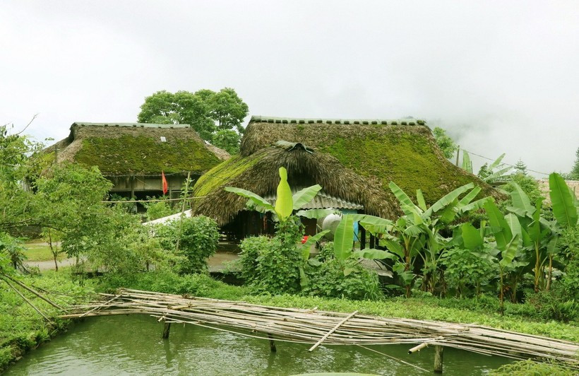 Maisons sur pilotis, couvertes de feuilles de palmier et tapissées de mousse verte. Photo: VNA