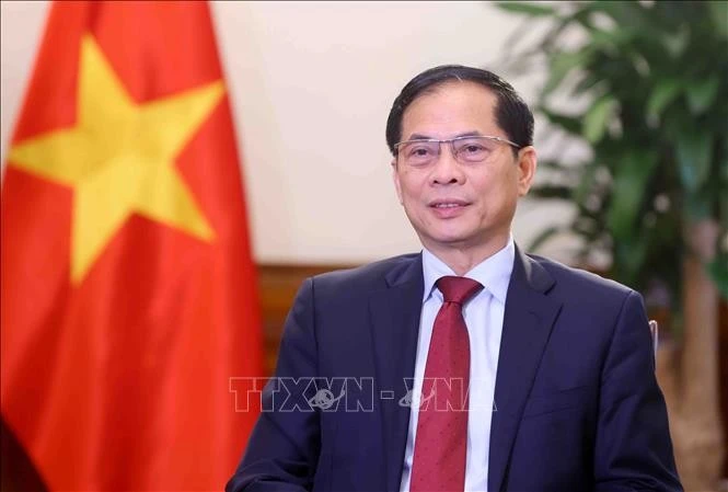 le vice-Premier ministre et ministre des Affaires étrangères du Vietnam, Bui Thanh Son. Photo: VNA