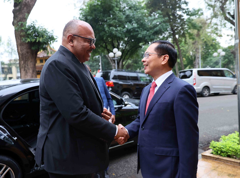 Le vice-Premier ministre et ministre des Affaires étrangères, Bui Thanh Son, et Mahmoud Thabit Kombo, ministre des Affaires étrangères et de la Coopération est-africaine de Tanzanie. Photo: VNA