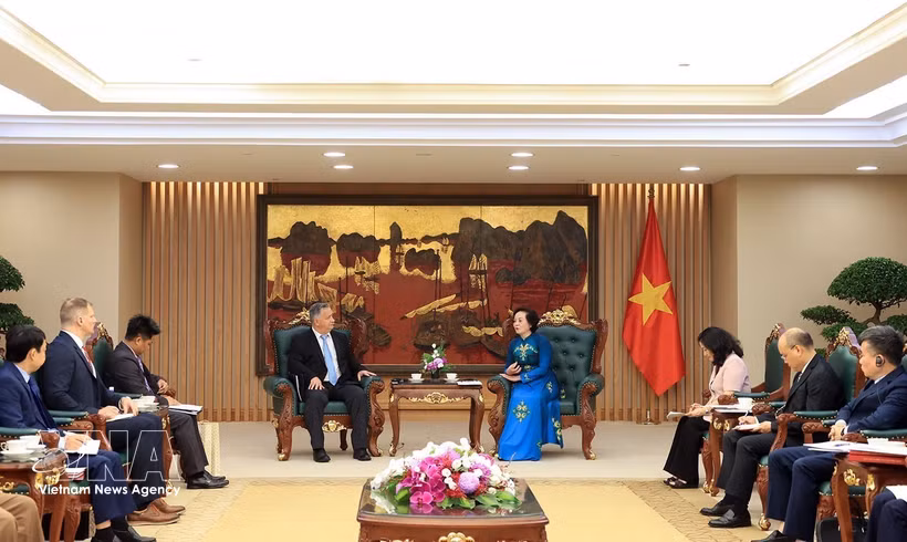 Panorama de la rencontre entre la vice-Première ministre Pham Thi Thanh Tra, et une délégation de l’Université Texas Tech conduite par le Dr Stephen Maxner, directeur du VNCA. Photo: VNA