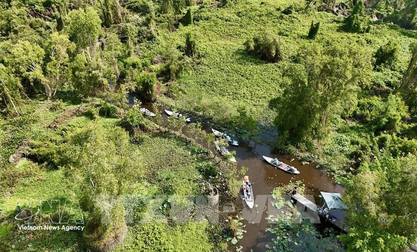 Le Vietnam renforcera également la coopération régionale et internationale à travers des échanges réguliers avec l’Union européenne et ses États membres sur l’évaluation des risques, les procédures et les indicateurs de suivi, l’établissement d’un dialogue avec le Centre commun de recherche (JRC) de l’UE afin d’harmoniser les données cartographiques forestières. Photo d'illustration: VNA