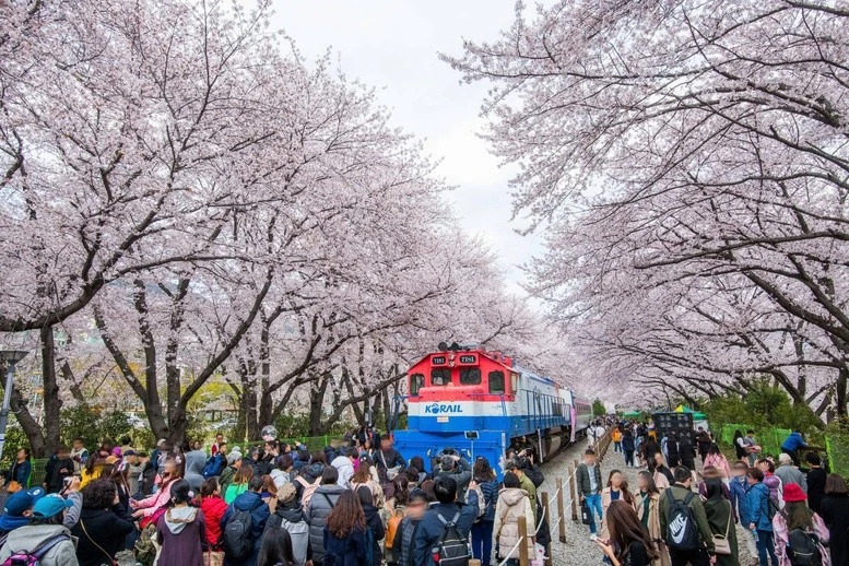 Une fête en République de Corée. Photo: KTO