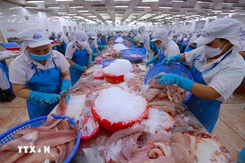 Transformation de produits aquatiques pour exportation. Photo: VNA