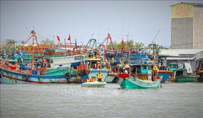 Des agents se rendent directement à bord pour expliquer en détail les réglementations relatives à la lutte contre la pêche INN. Photo: VNA