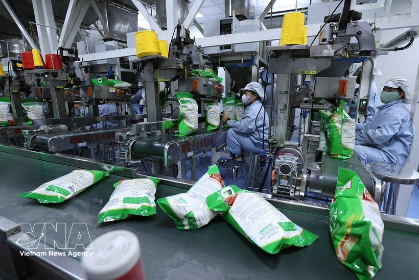 Conditionnement de riz destiné à l’exportation à l’usine de Vinh Phat Wilmar, dans le quartier de Binh Duc, province d’An Giang. Photo : VNA