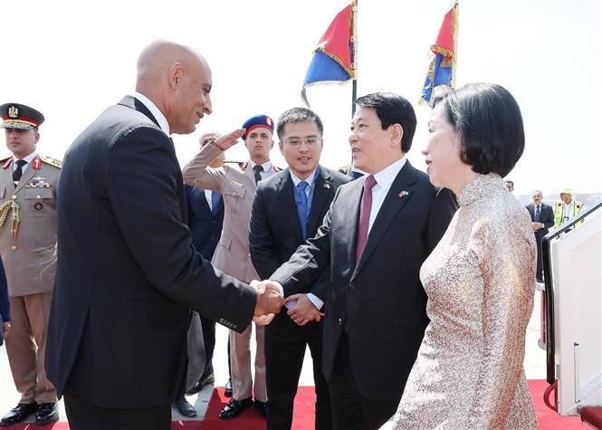 Le président de la République, Luong Cuong, et son épouse, arrivent au Caire. Photo: VNA