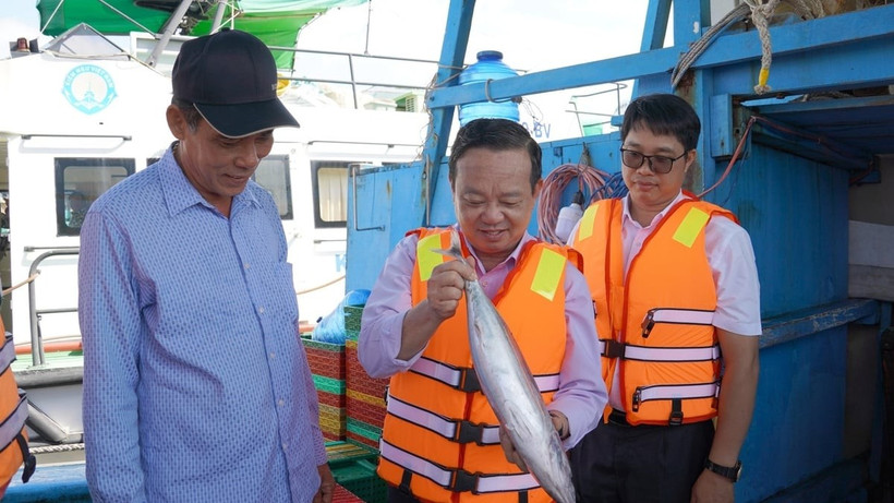 Le vice-président du Comité populaire de Ho Chi Minh-Ville, Bui Minh Thanh, inspecte les prises des pêcheurs à leur sortie de la glacière. Photo : nongnghiepmoitruong.vn
