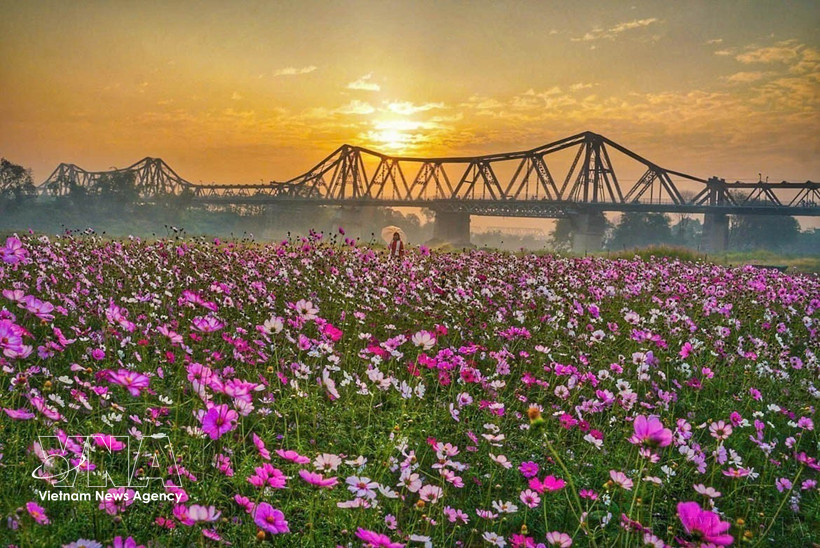 La beauté du pont Long Bien, symbole culturel et historique de Hanoi. Photo : VNA