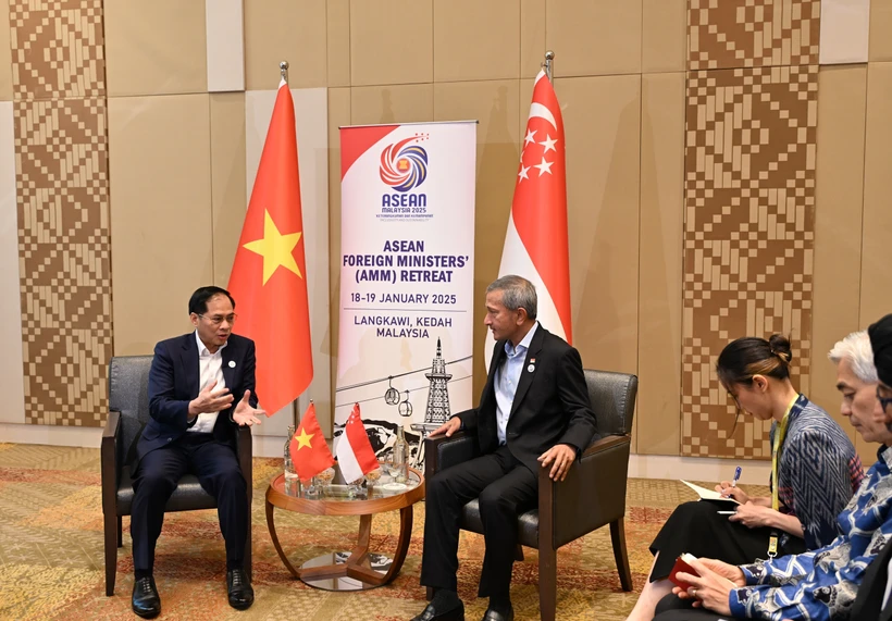 Le vice-Premier ministre et ministre des Affaires étrangères, Bui Thanh Son (gauche), et le ministre des Affaires étrangères de Singapour, Vivian Balakrishnan. Photo: VNA