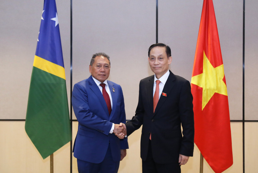 Le ministre des Affaires étrangères Le Hoai Trung (à droite) et le ministre des Affaires étrangères et du Commerce extérieur des Îles Salomon, Peter Shanel Agovaka. Photo: ministère des Affaires étrangères