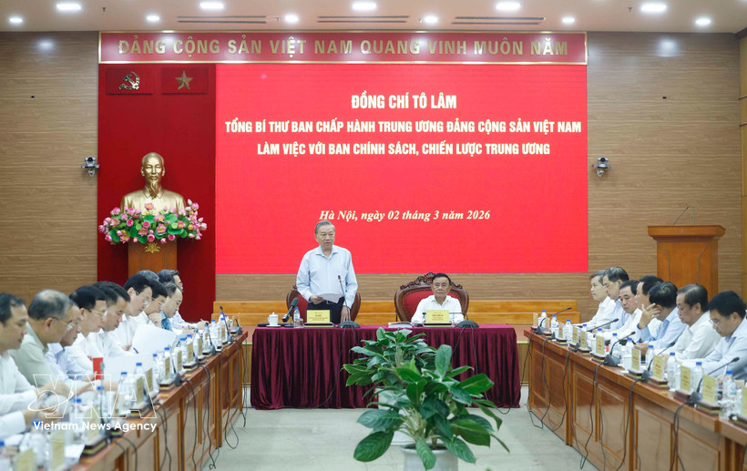 Panorama de la séance de travail. Photo: VNA