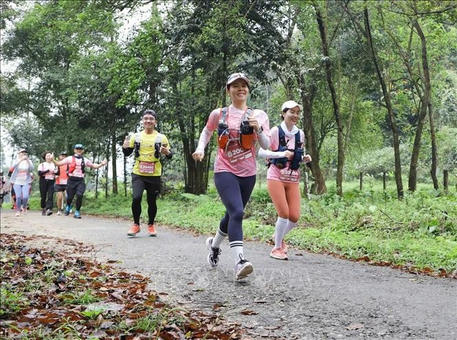 Athlètes à la course Cuc Phuong Jungle Paths. Photo: VNA