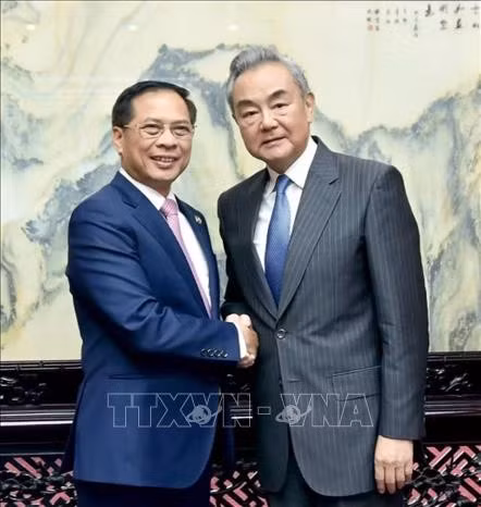 Le vice-Premier ministre et ministre vietnamien des Affaires étrangères, Bui Thanh Son (gauche), et le chef de la diplomatie chinoise, Wang Yi. Photo: VNA