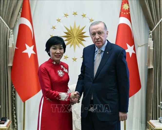 L'ambassadrice du Vietnam en Turquie, Dang Thi Thu Ha, et le président turc, Recep Tayyip Erdogan. Photo: VNA