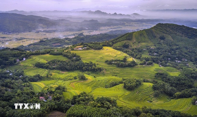Les rizières en terrasses de Miên Doi sont connues comme l’un des plus beaux paysages de la province de Phu Tho et plus largement du Nord-Ouest du Vietnam. Photo: VNA