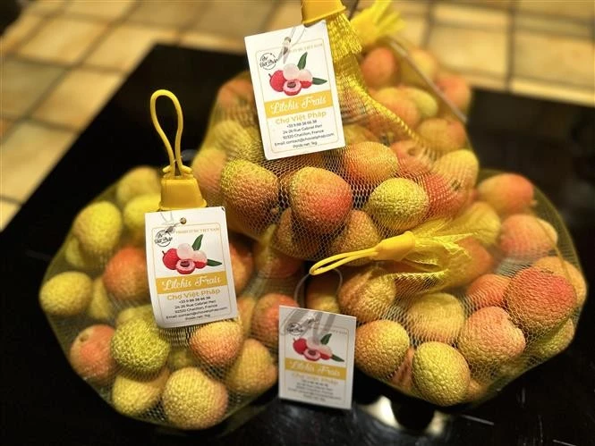 Le 2 juin, les premiers litchis frais de la saison 2025 en provenance du Vietnam sont officiellement arrivés sur le marché français. Photo: VNA