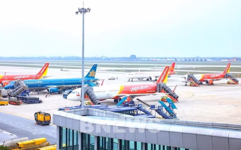Des avions de compagnies aériennes vietnamiennes sur le tarmac. Photo : Bnews