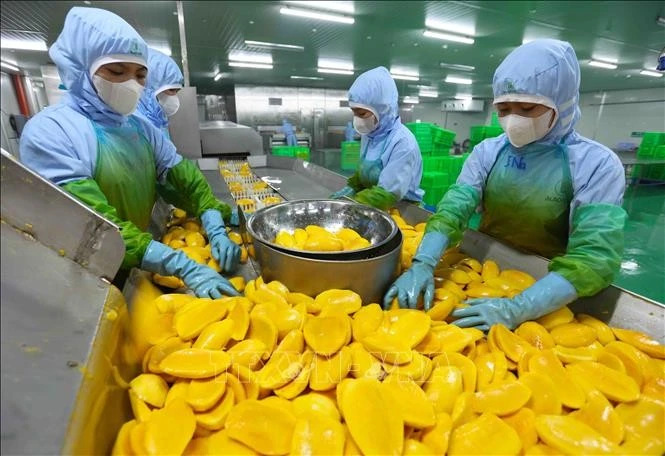 Usine de la Société par actions de fruits et légumes d'An Giang (province de Lam Dong). Photo: VNA