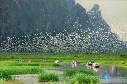Le tourisme ornithologique est bien plus qu’une simple activité de loisirs : il permet de découvrir la faune locale tout en contribuant à la préservation de la nature.