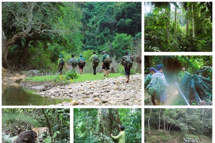 La Réserve naturelle de Pù Huông, l’une des trois forêts spéciales du noyau de la Réserve de biosphère de l’Ouest de Nghê An, reconnue par l’UNESCO en 2007. Photo : VNA