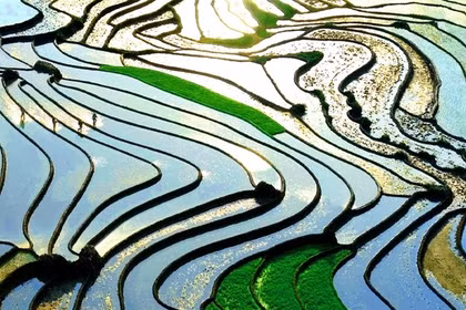 Les rizières de Sa Pa, inondées, se transforment en un immense miroir reflétant le ciel. Photo: viettourist.com