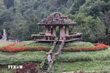 Plus de 30 variétés de fleurs différentes sont plantées dans la zone écotouristique de Thung Nham dans la province de Ninh Binh. Photo : VNA