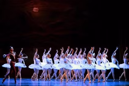 Le "Le Lac des Cygnes" promet d’envoûter l’Opéra de Hô Chi Minh-Ville. Photo: NDEL