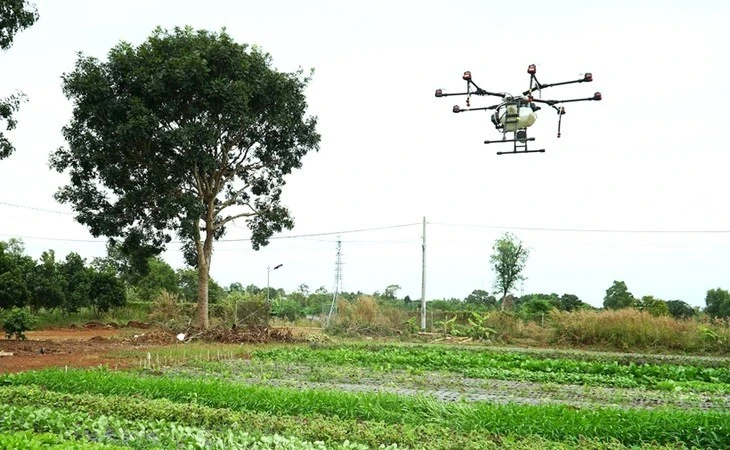 Des drones sont utilisés pour pulvériser des biopesticides sur les potagers. Photo: VTCNews